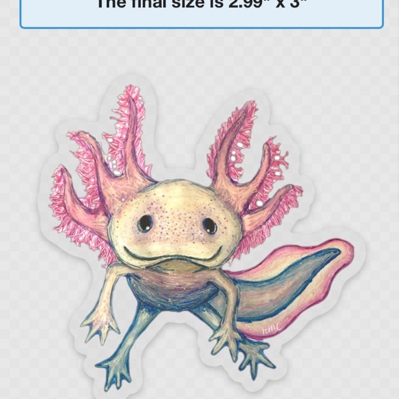 Axolotl Sticker - Picture 1 of 4